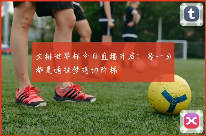 女排世界杯今日直播开启：每一分都是通往梦想的阶梯