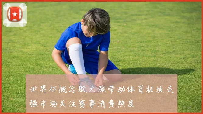 世界杯概念股大涨带动体育板块走强市场关注赛事消费热度